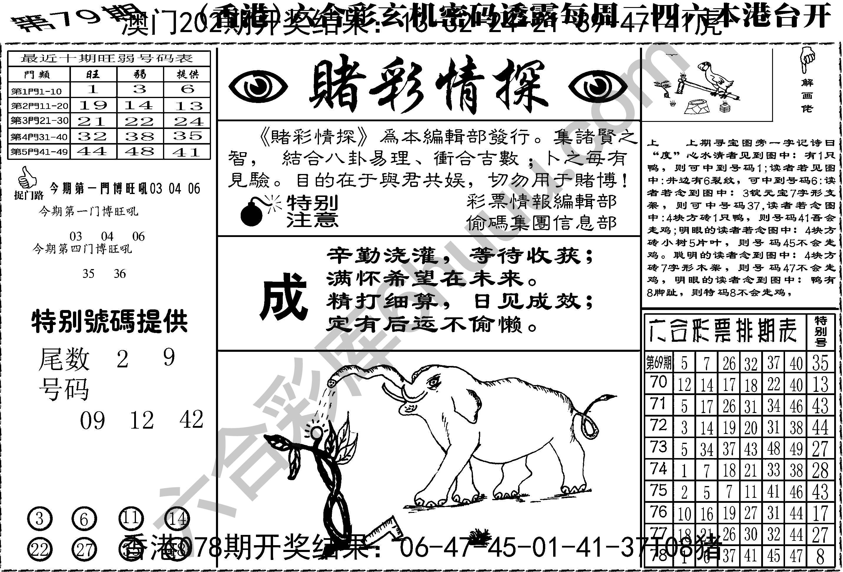 赌彩情探