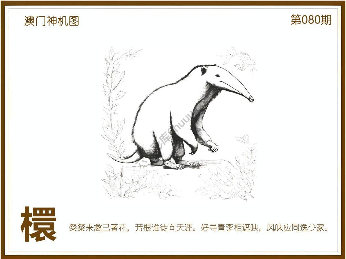 澳门神机图