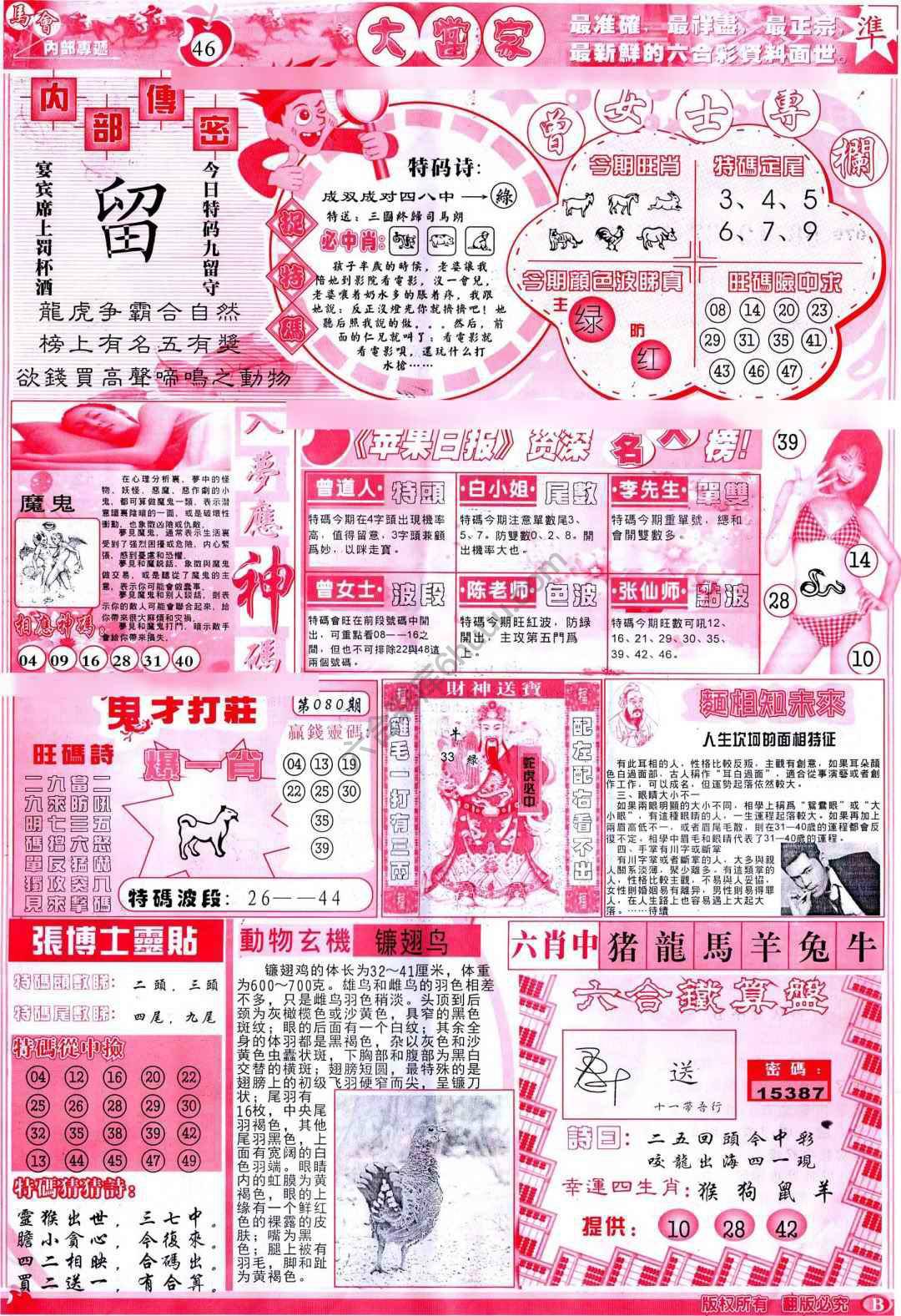 大当家