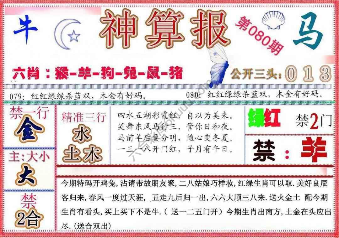 神算报新版