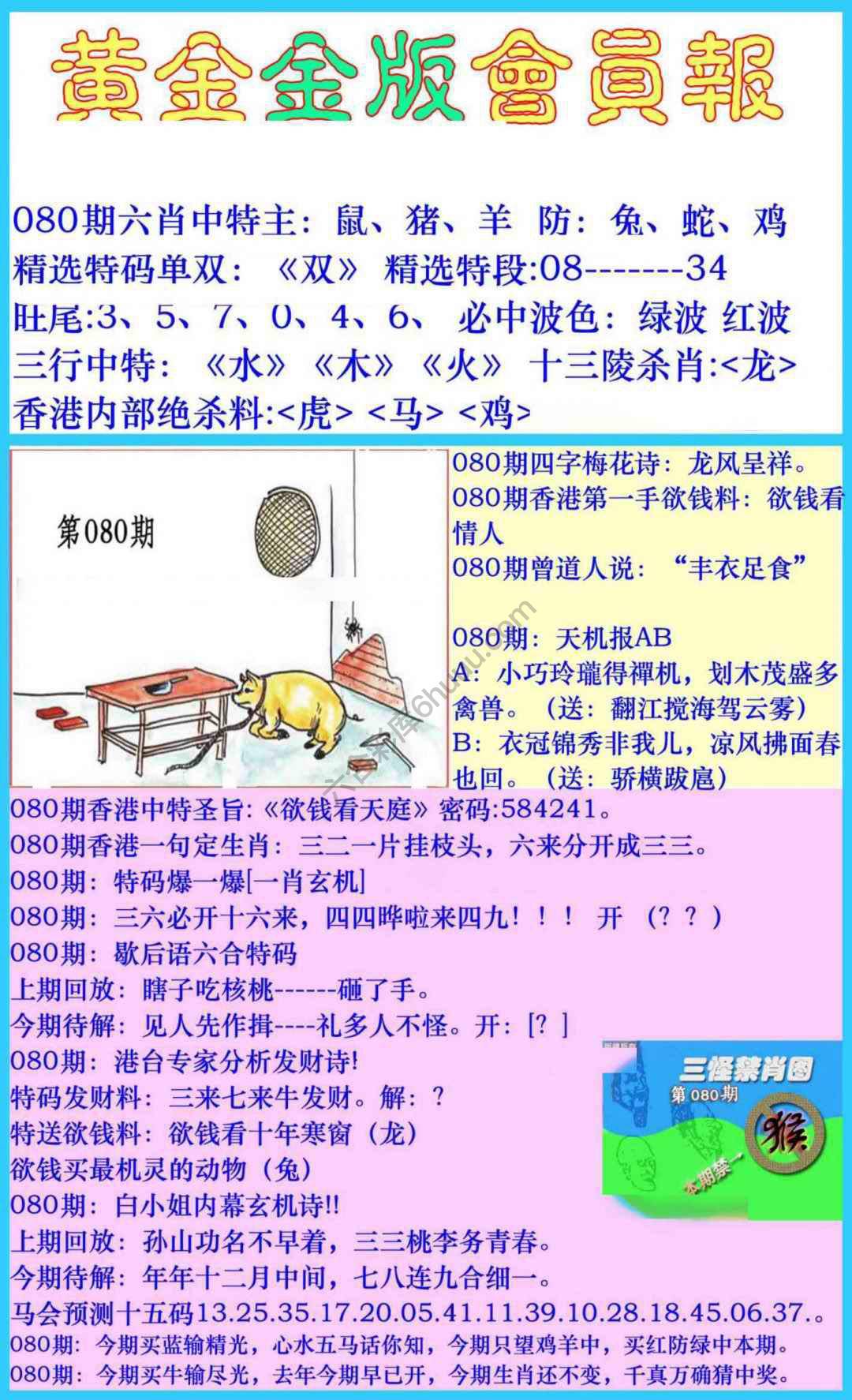 黄金金版会员报