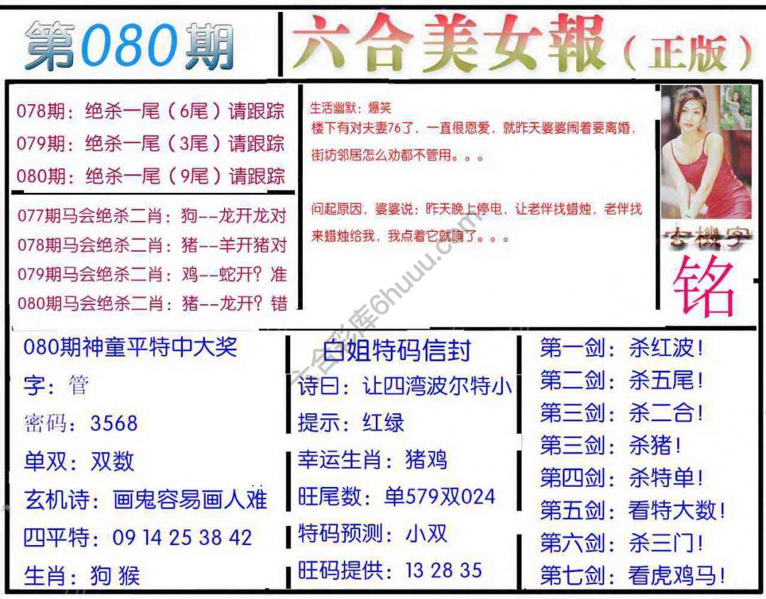 六合美女报