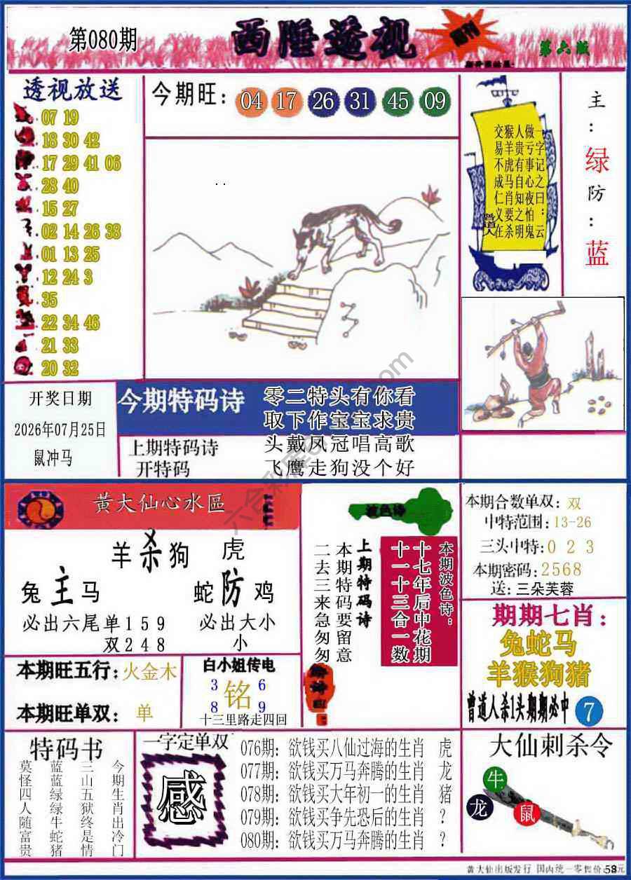 西陲透视（正版）