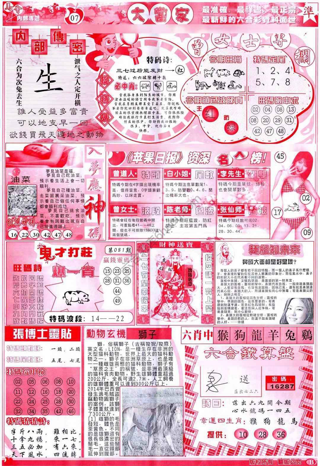 大当家