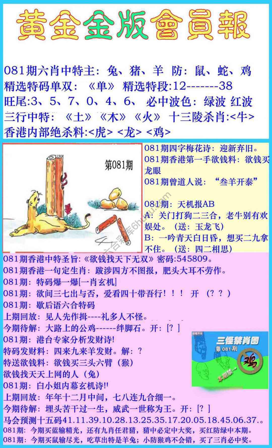黄金金版会员报