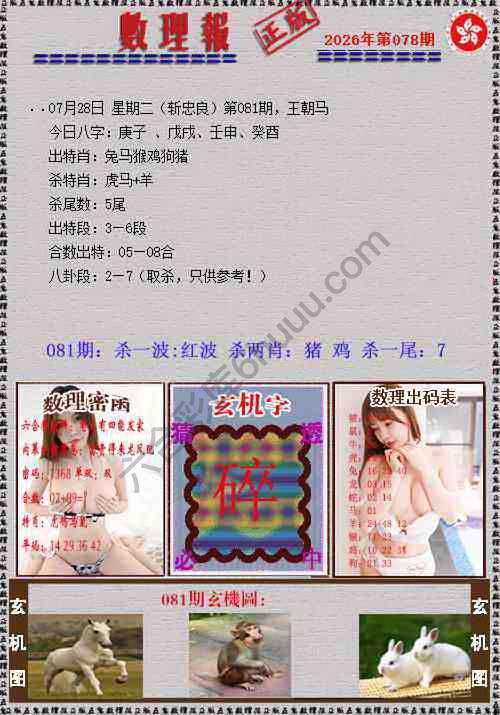 数理报