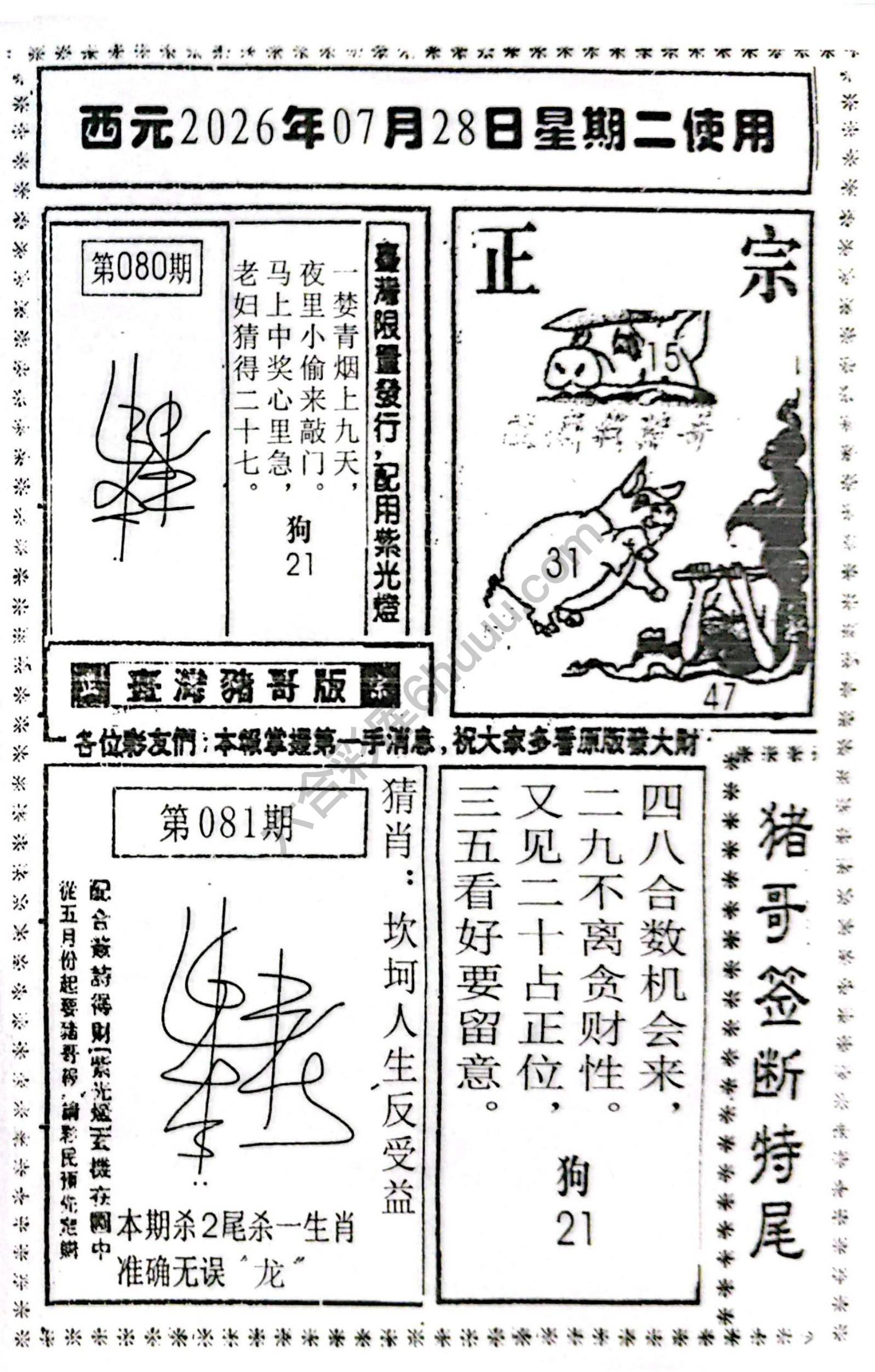 猪哥签断特尾