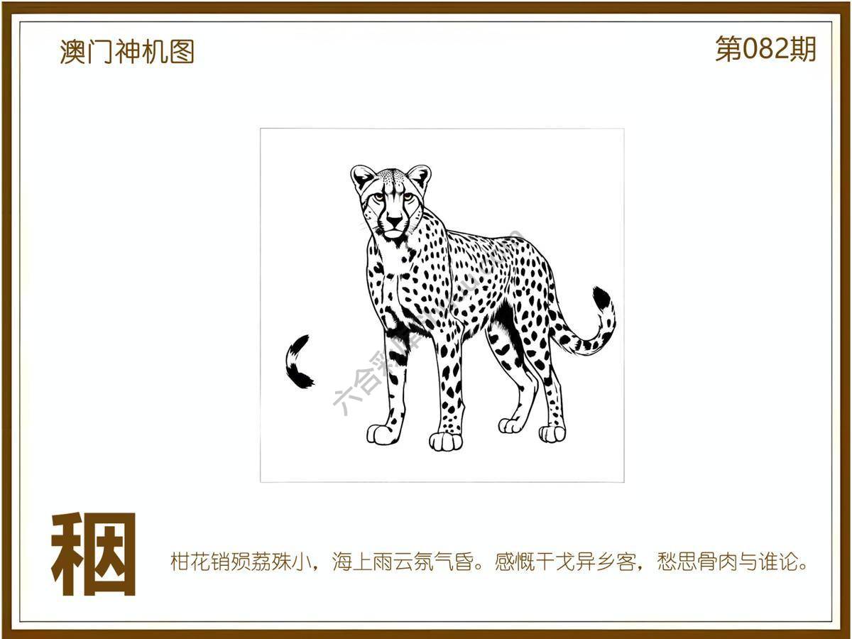 澳门神机图