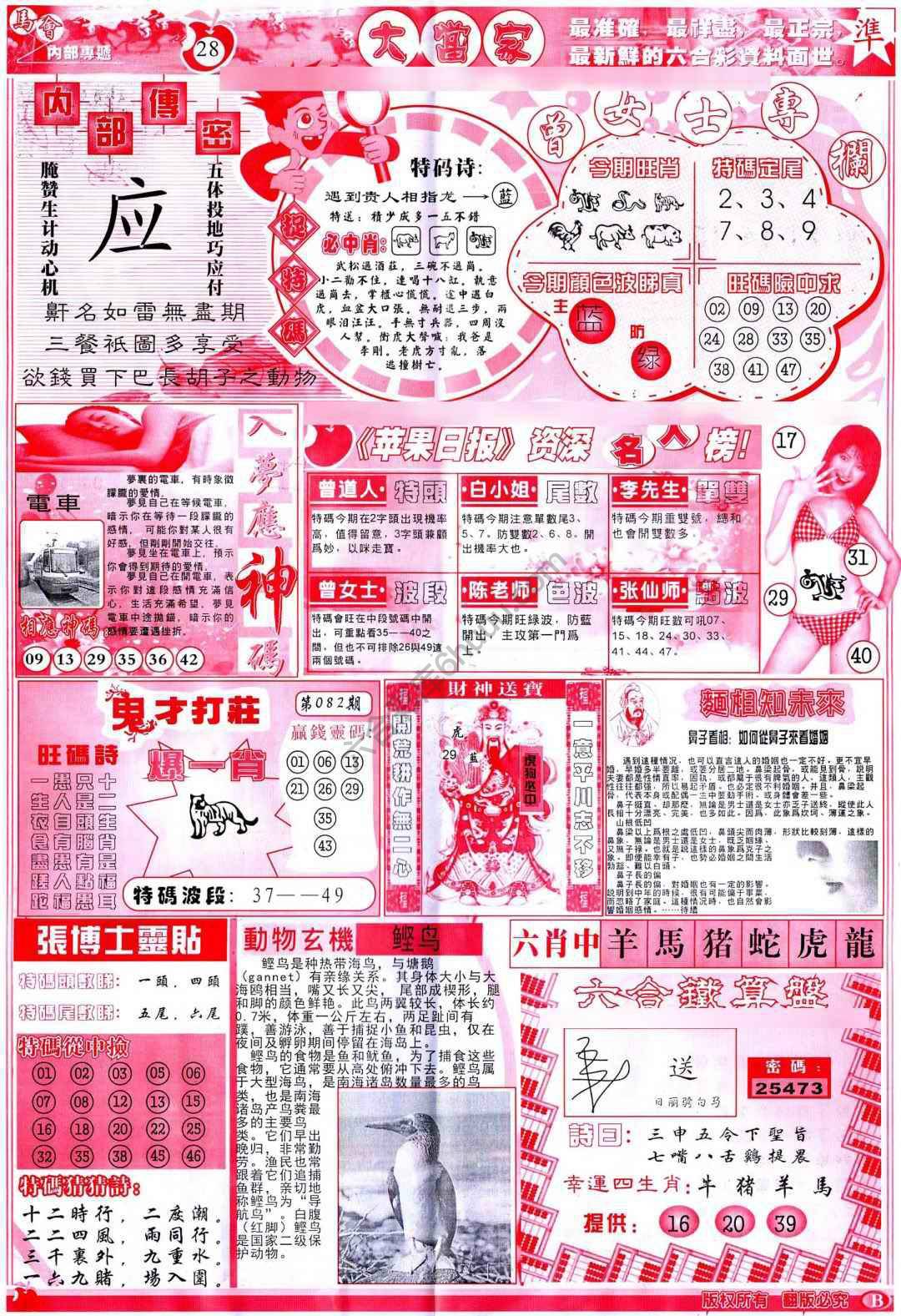 大当家