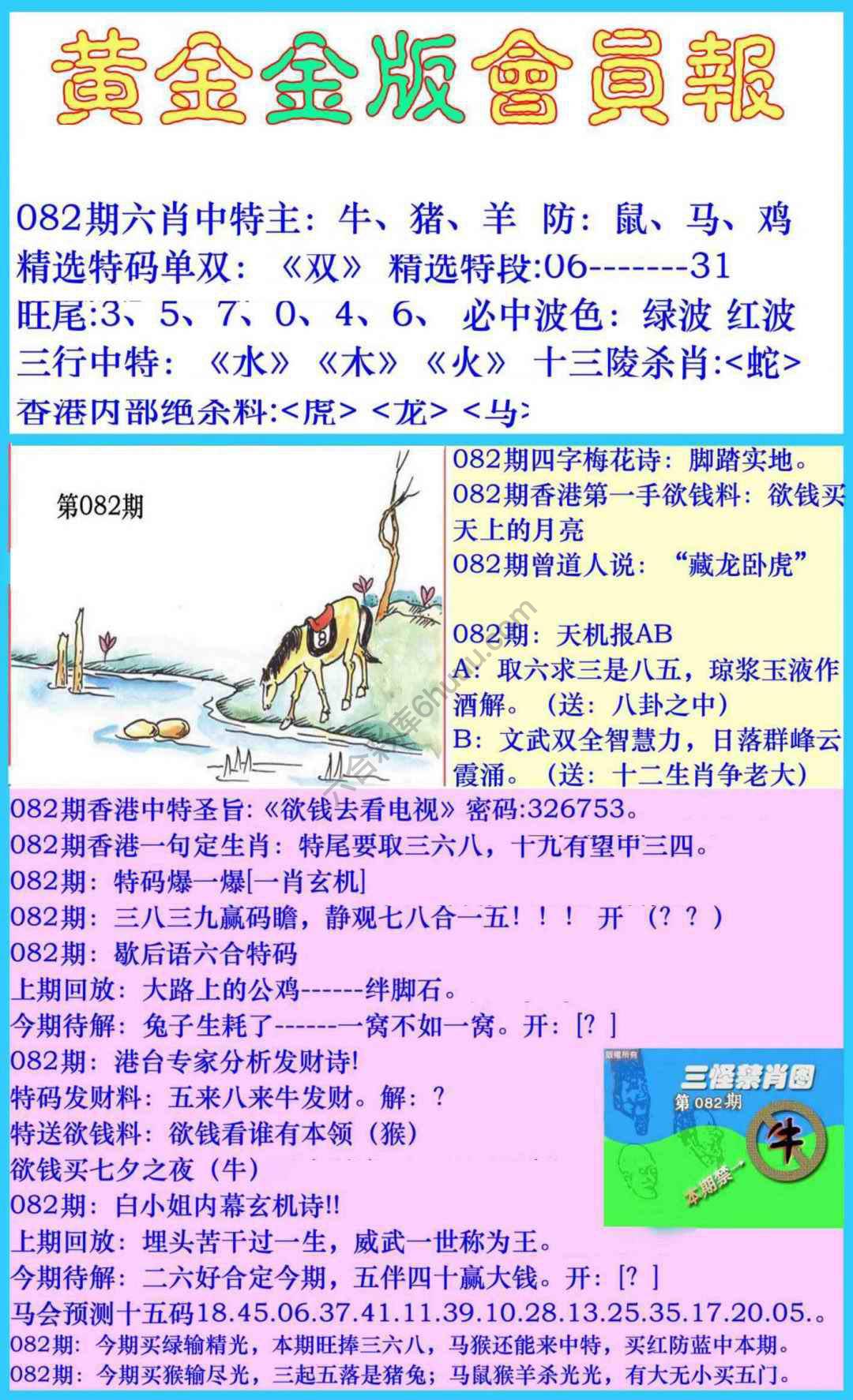 黄金金版会员报