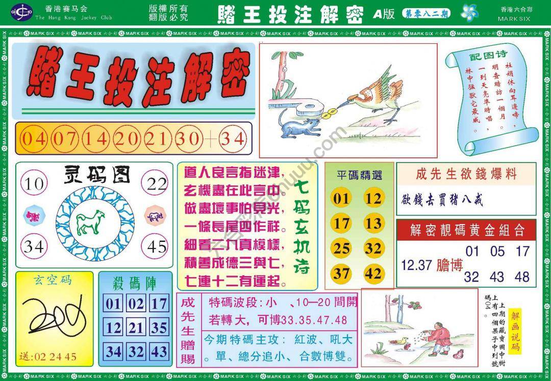 赌王投注解密