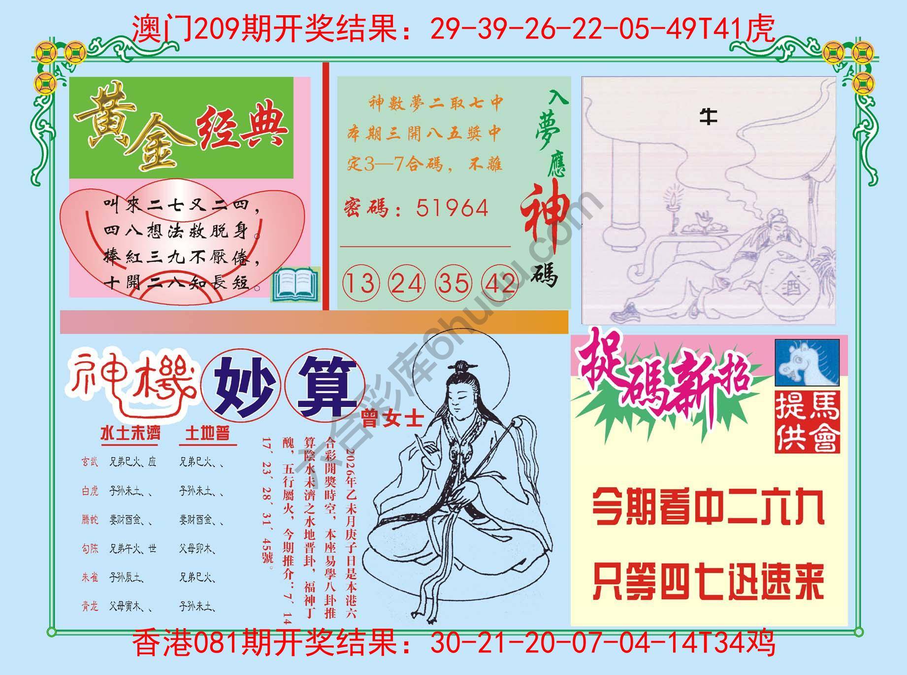 老版曾女士