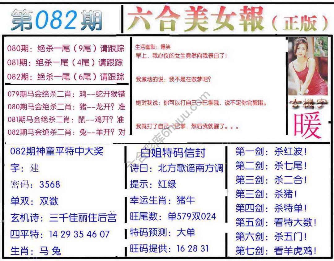 六合美女报