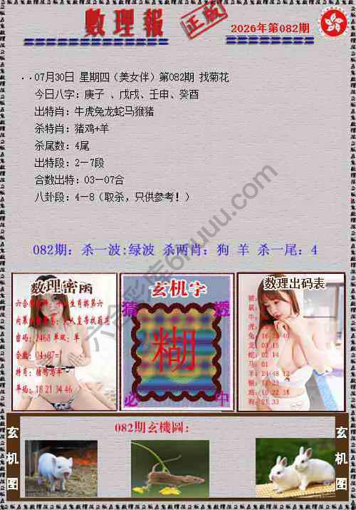 数理报