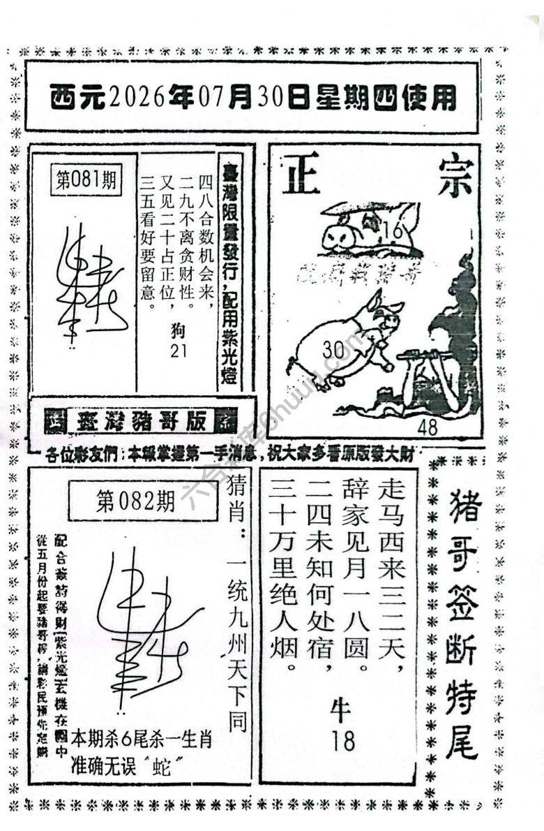 猪哥签断特尾