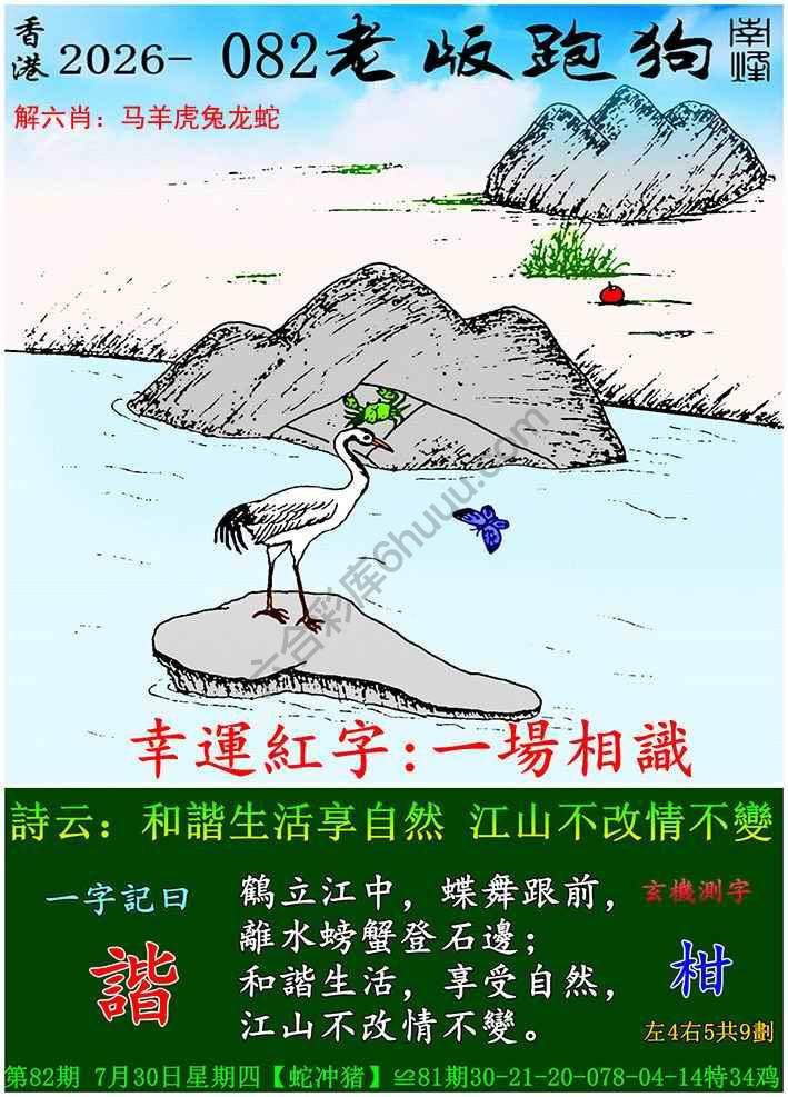 老版跑狗图
