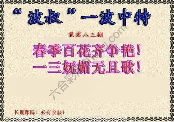 波叔一波中特