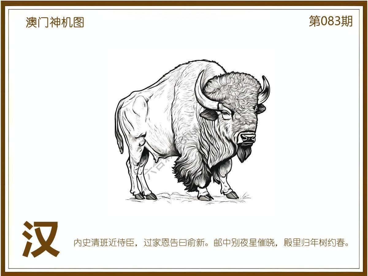 澳门神机图