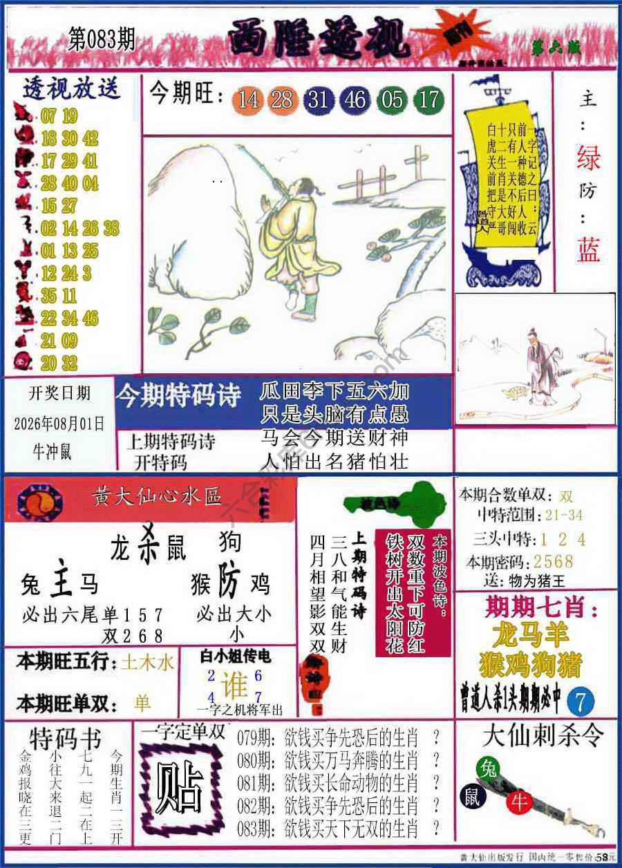 西陲透视（正版）