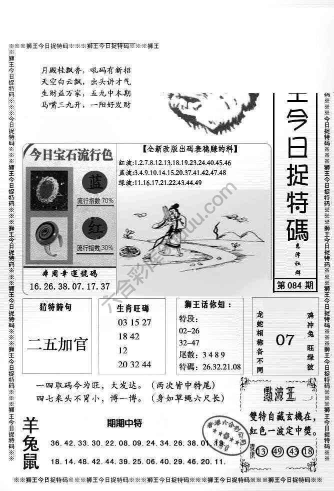 狮王今日抓特码