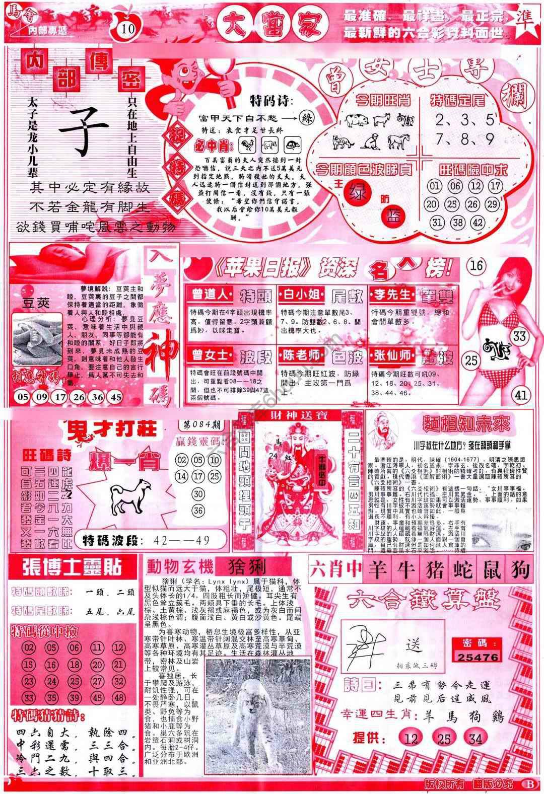 大当家