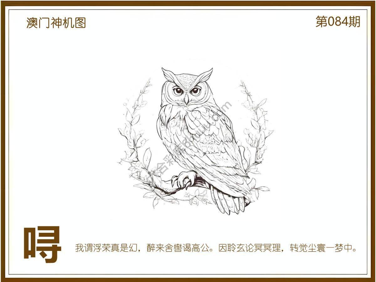 澳门神机图