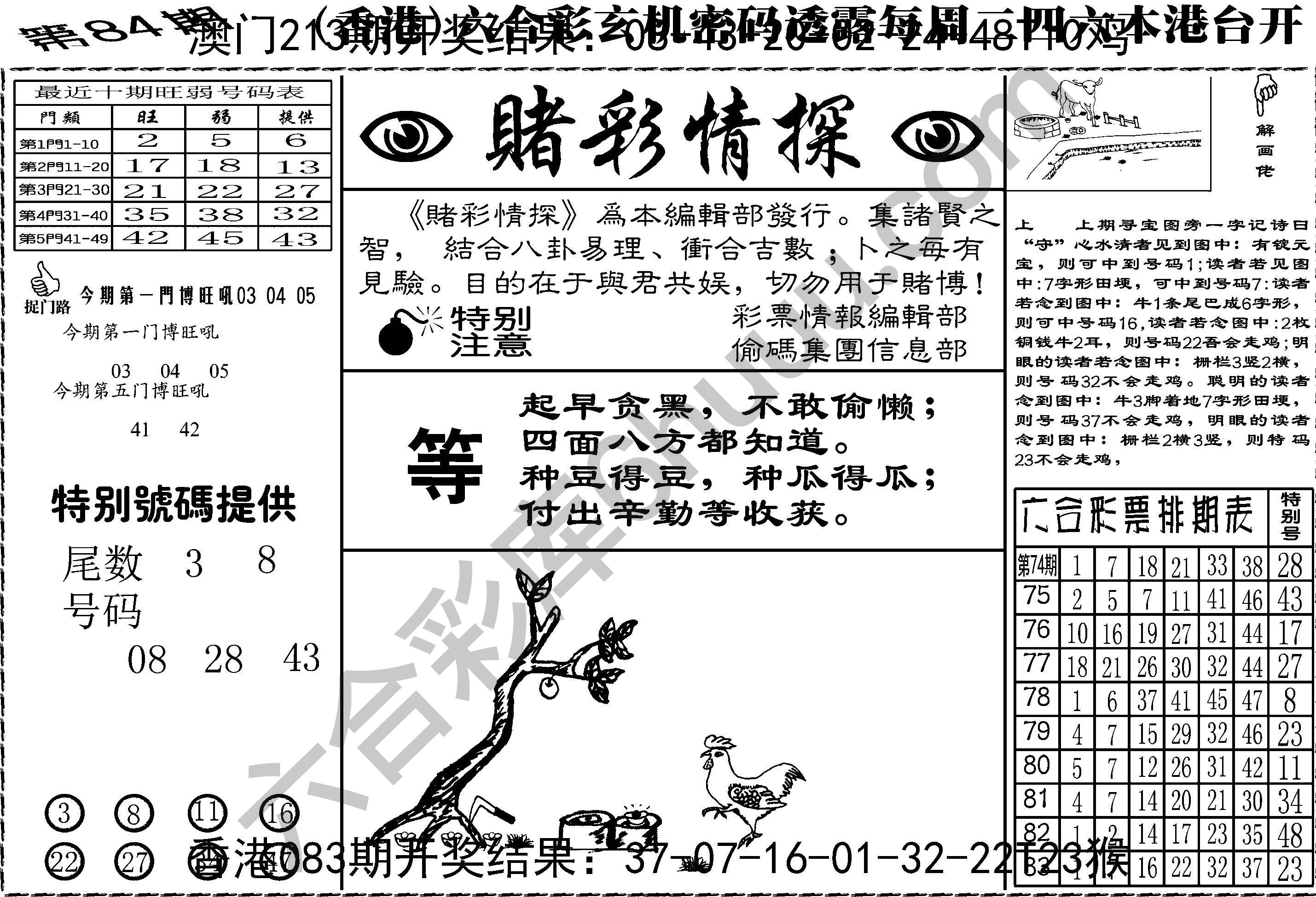 赌彩情探