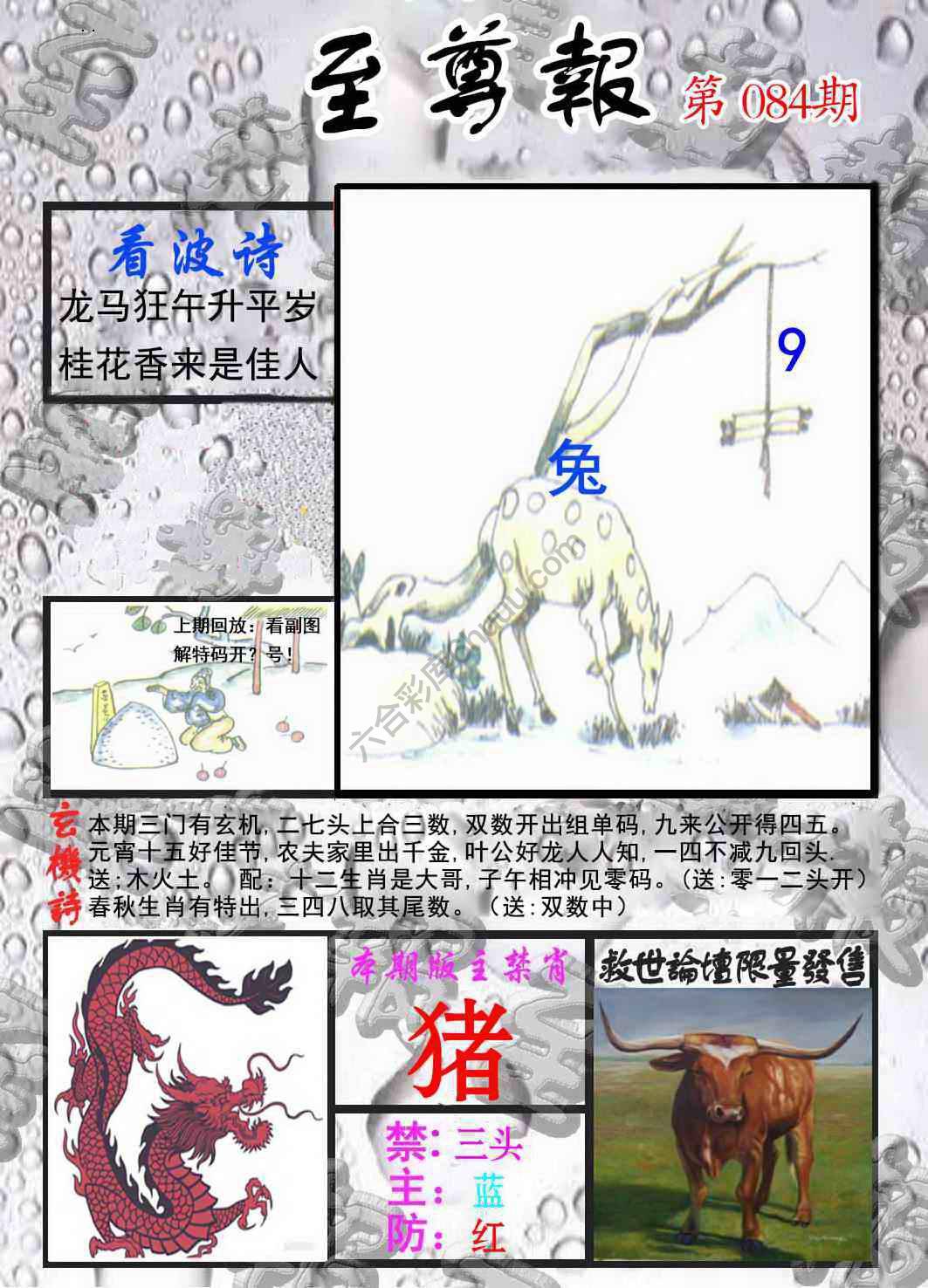 至尊报