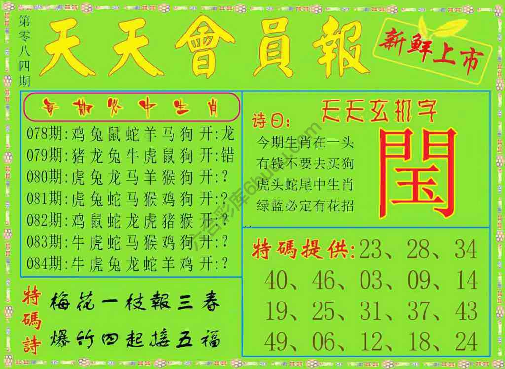 天天会员报