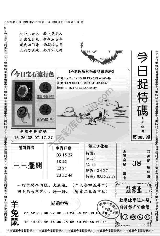 狮王今日抓特码