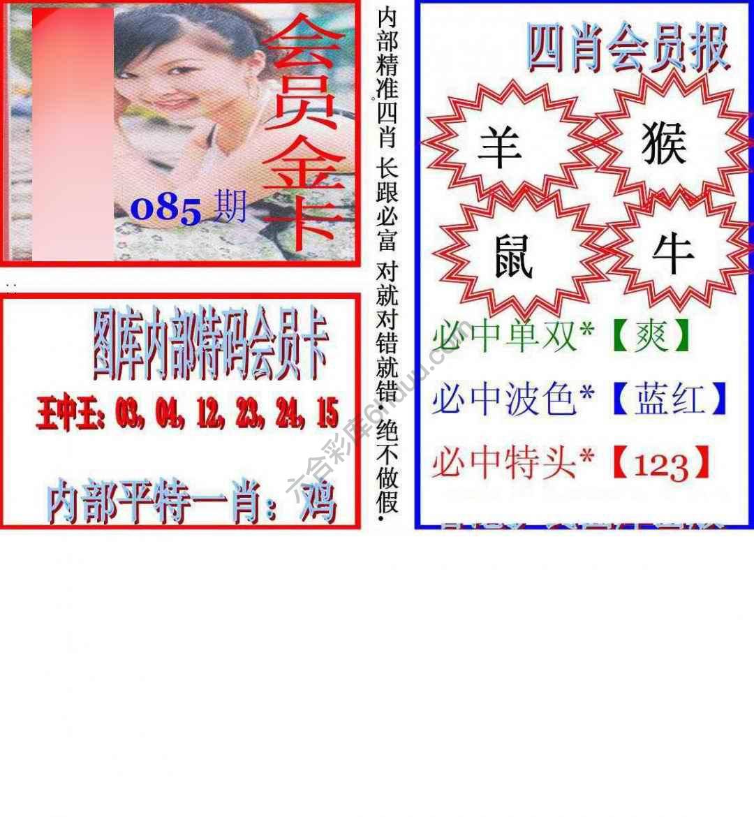 马经四肖会员报