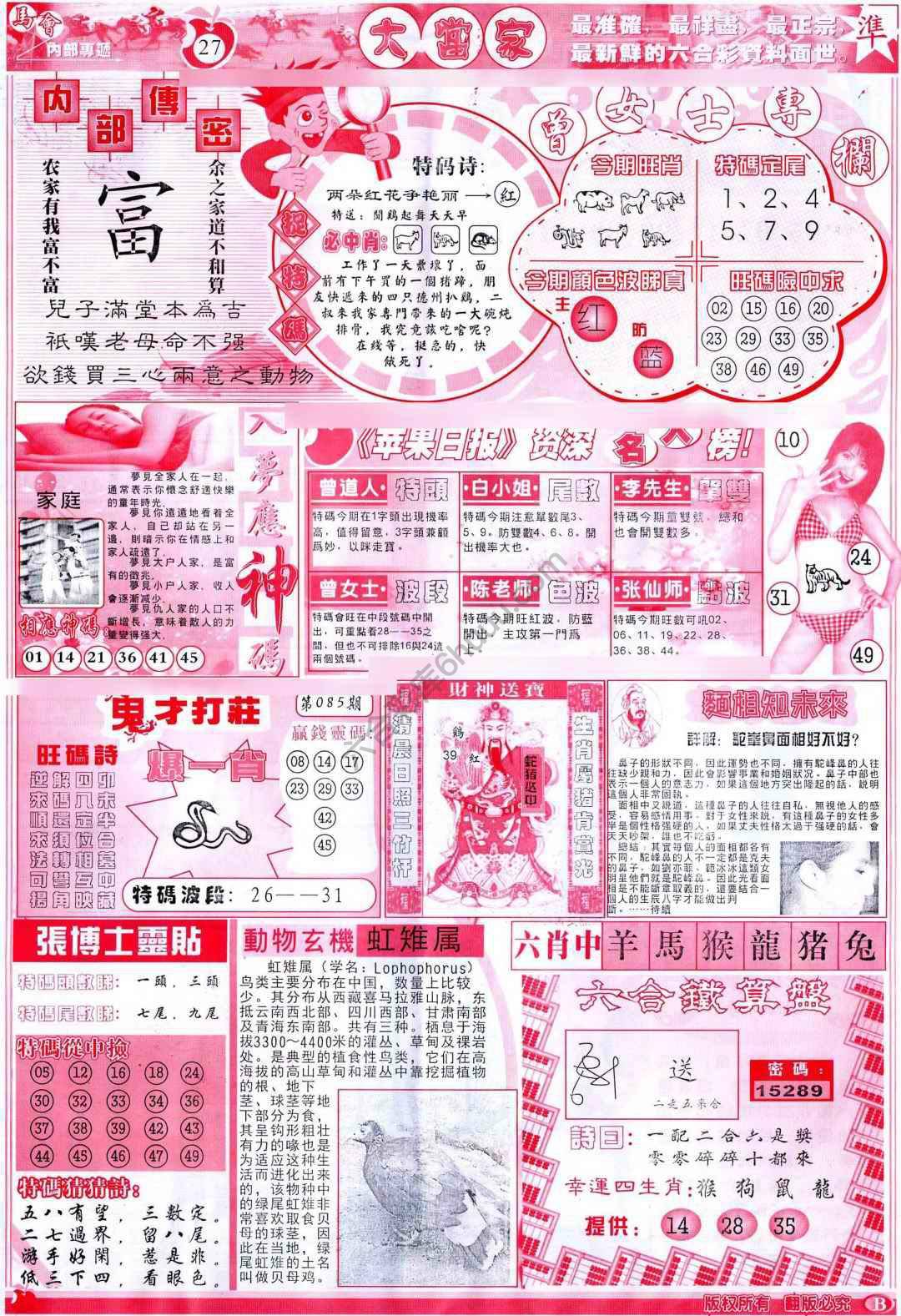 大当家