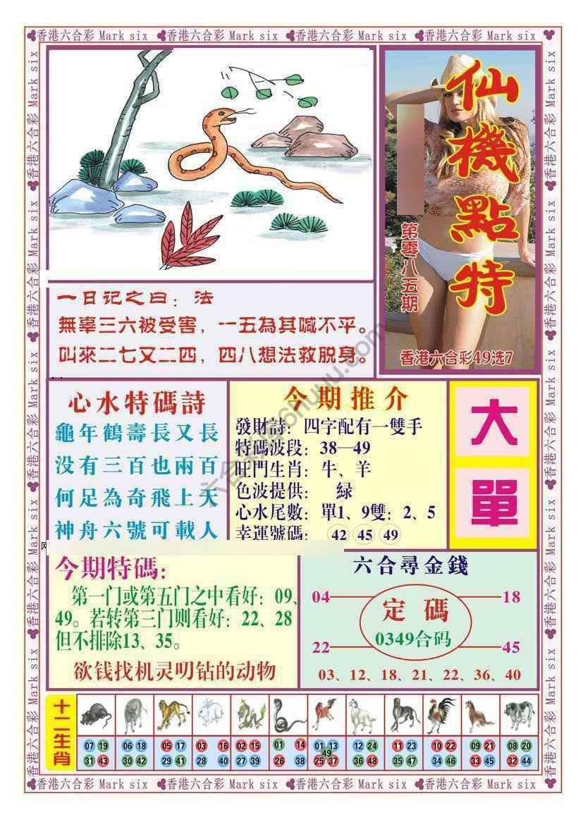 仙机点特