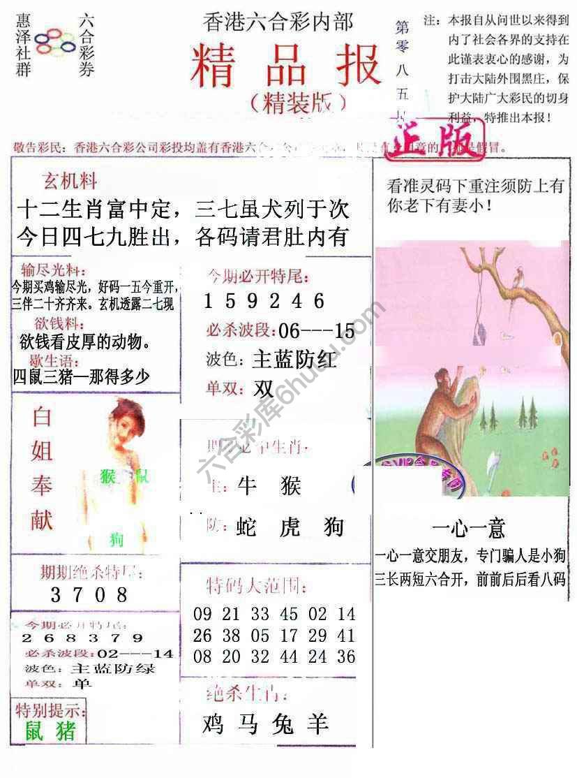 新精品报