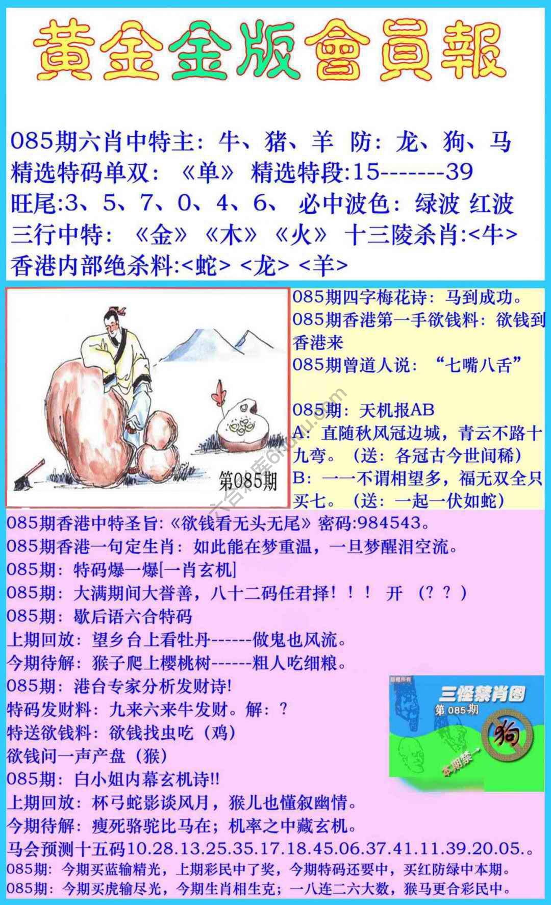 黄金金版会员报
