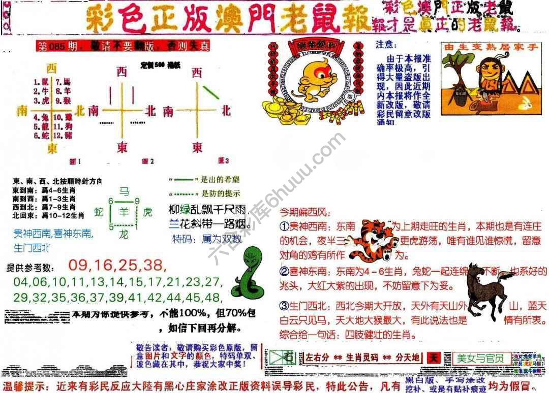 澳门老鼠报