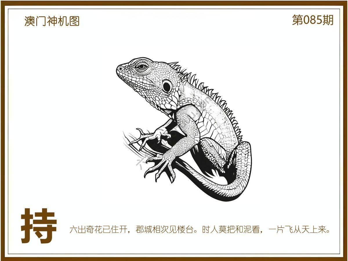 澳门神机图