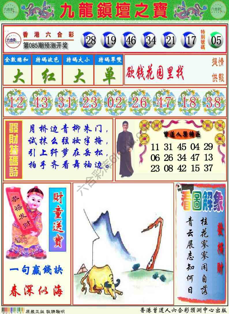 九龙挂牌解特码