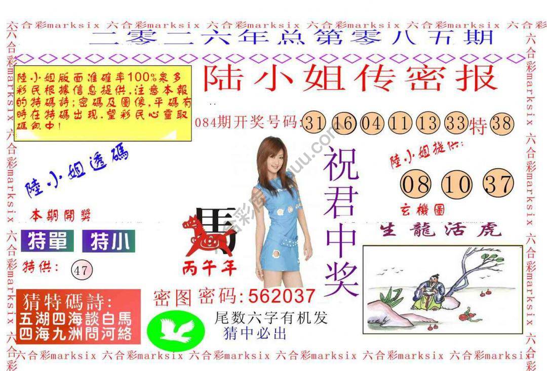 陆小姐传密