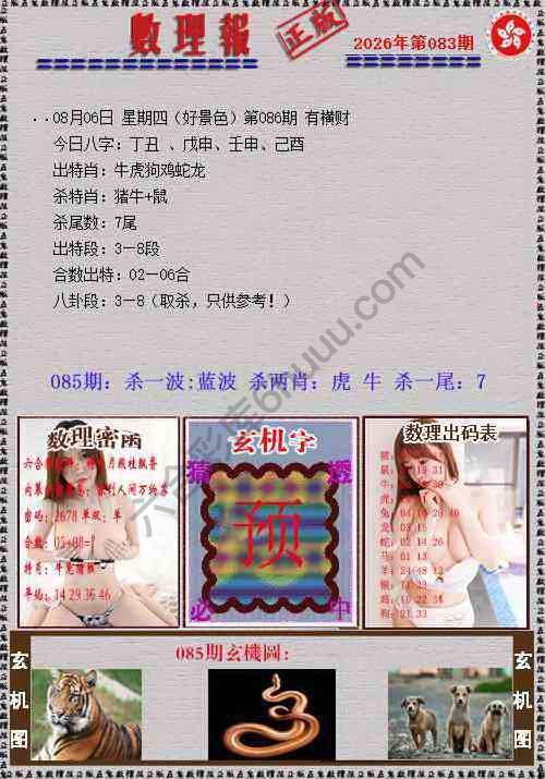 数理报