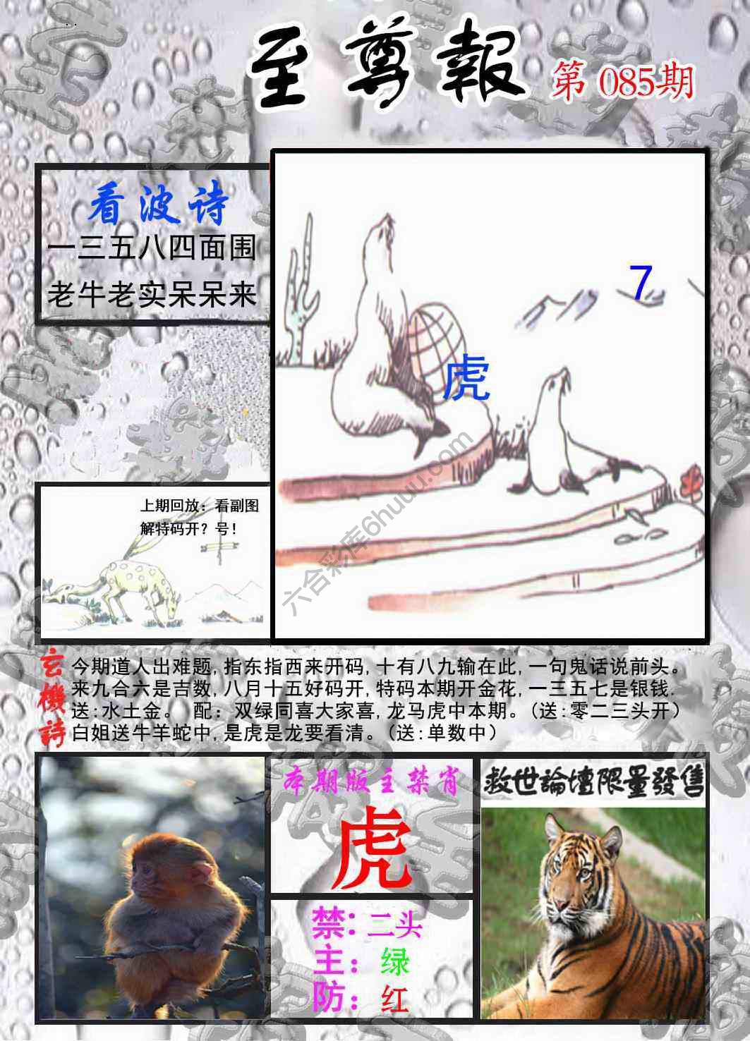 至尊报