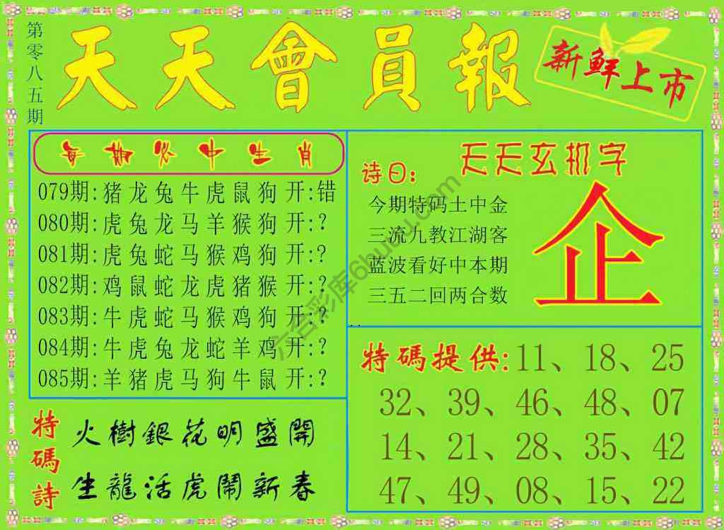 天天会员报