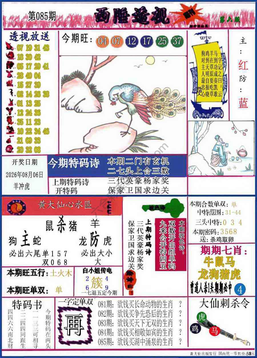 西陲透视（正版）