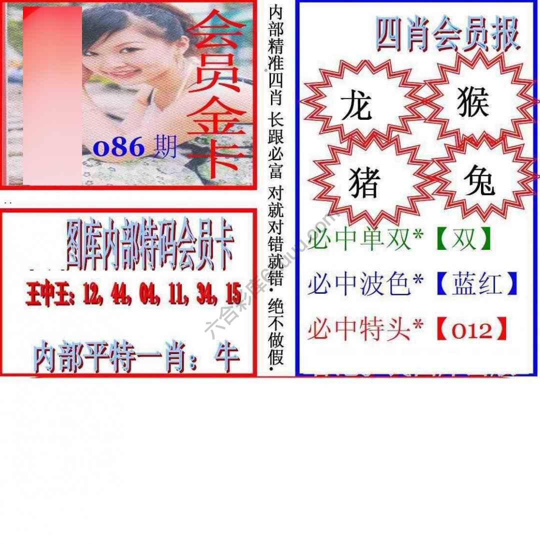马经四肖会员报