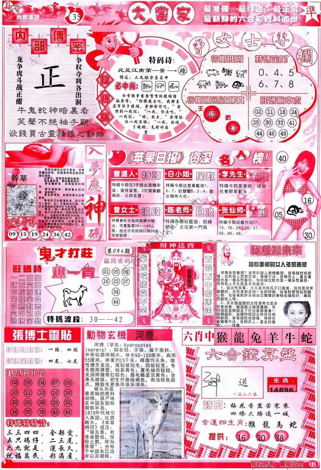 大当家