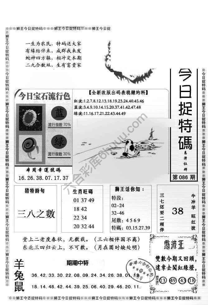 狮王今日抓特码