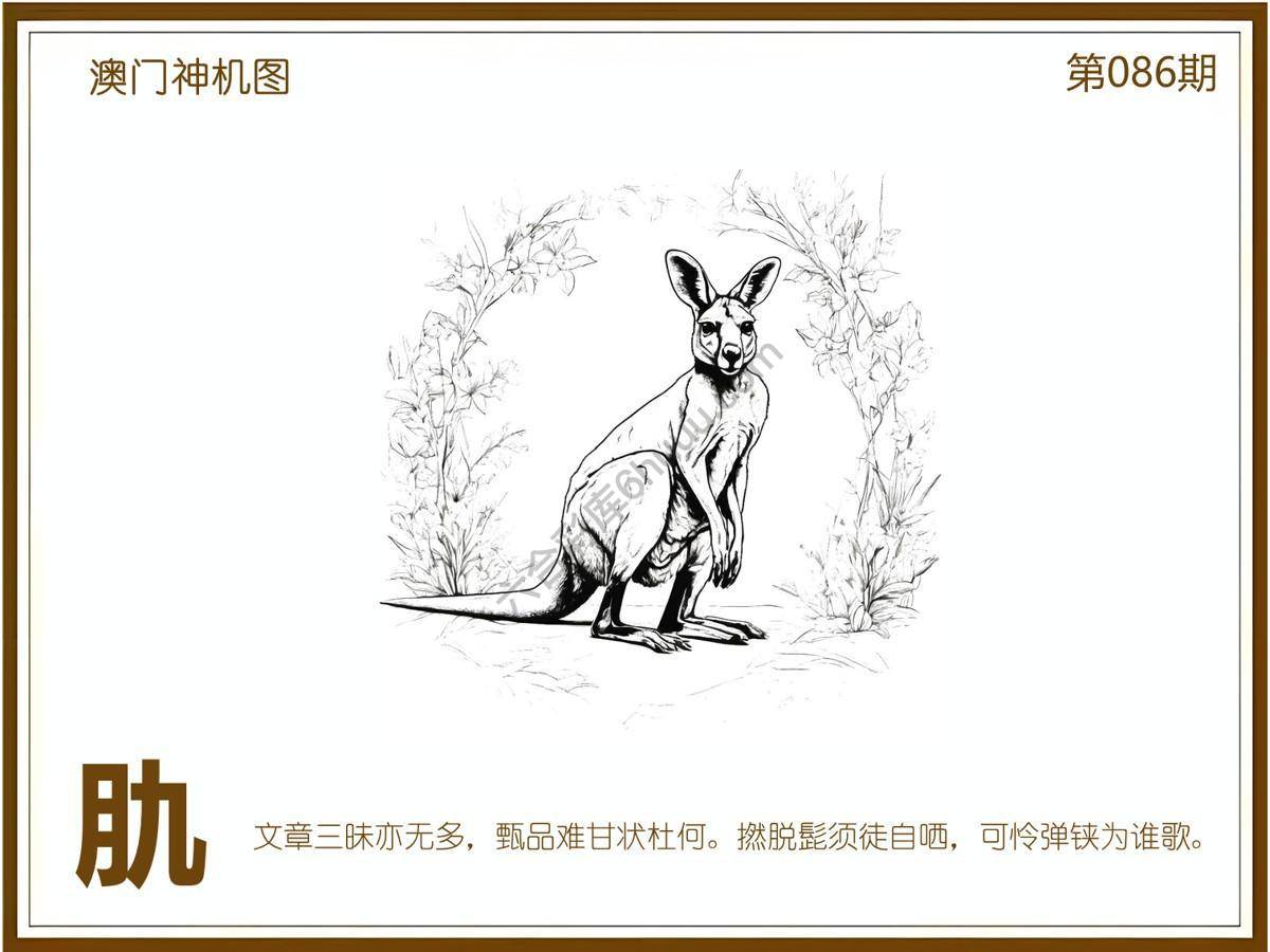 澳门神机图