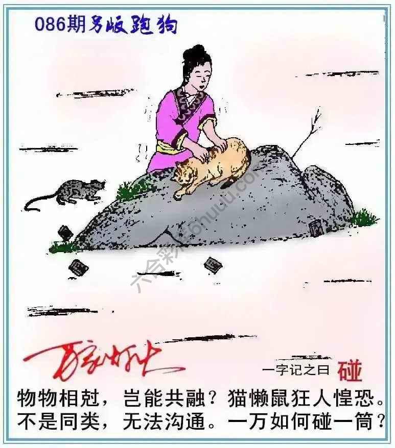 另版跑狗