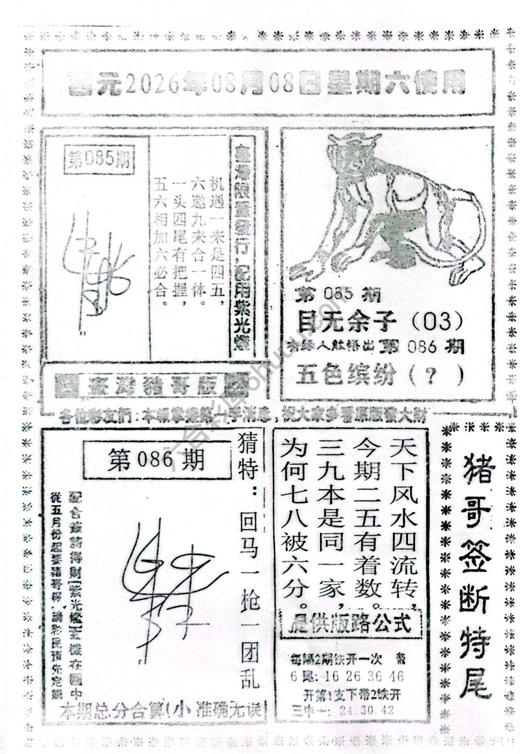 猪哥签断特尾