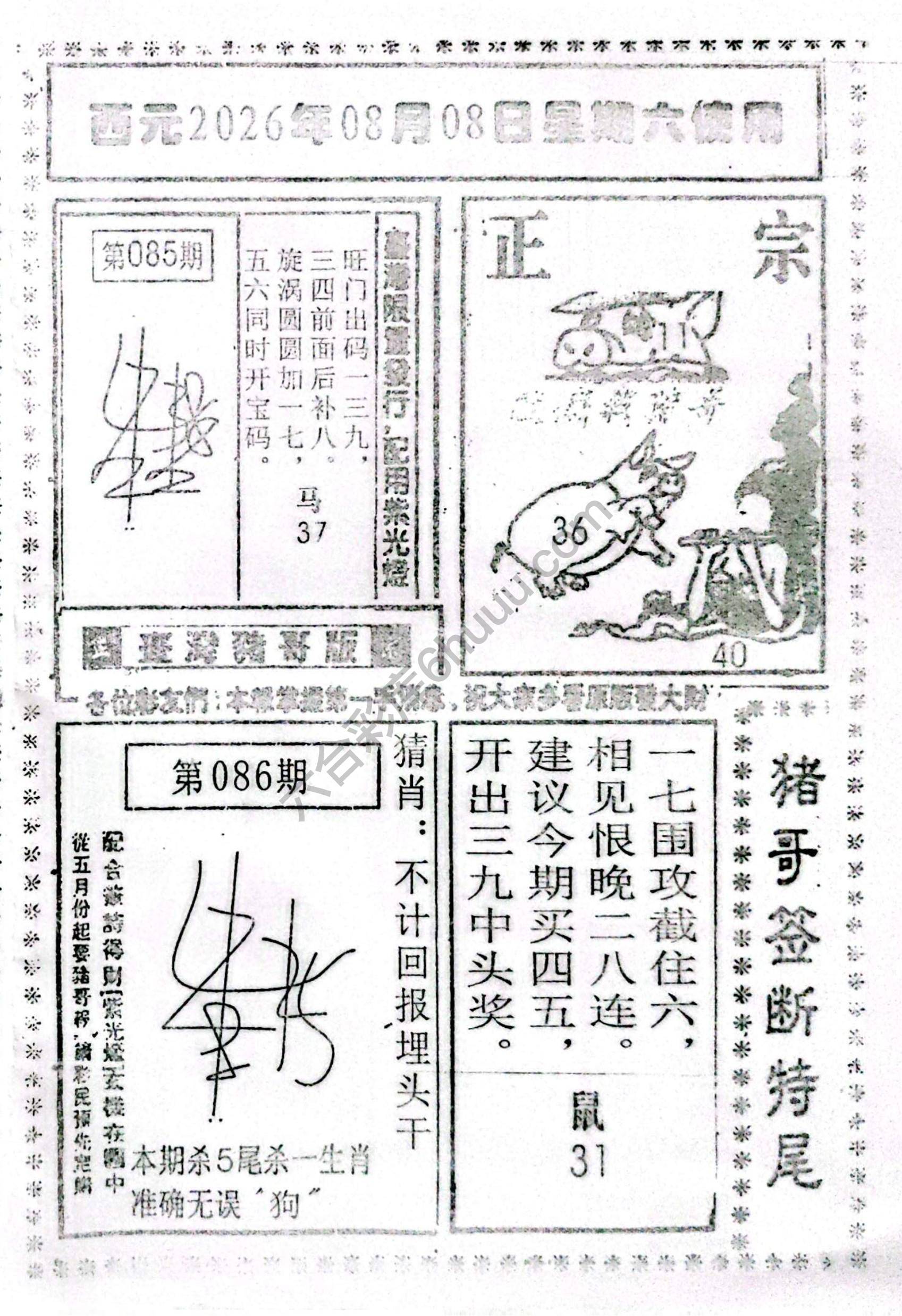 猪哥签断特尾